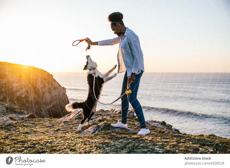 Black woman playing with dog on beach sunset toy catch together owner pet animal companion canine female sea purebred border collie ocean obedient loyal ethnic