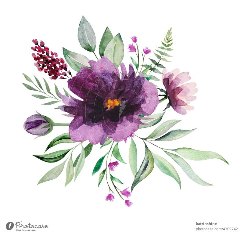 Watercolor purple and pink wild flowers and green leaves bouquet  Illustrations Botanical Decoration Drawing Element Foliage Garden Hand drawn Isolated Ornament
