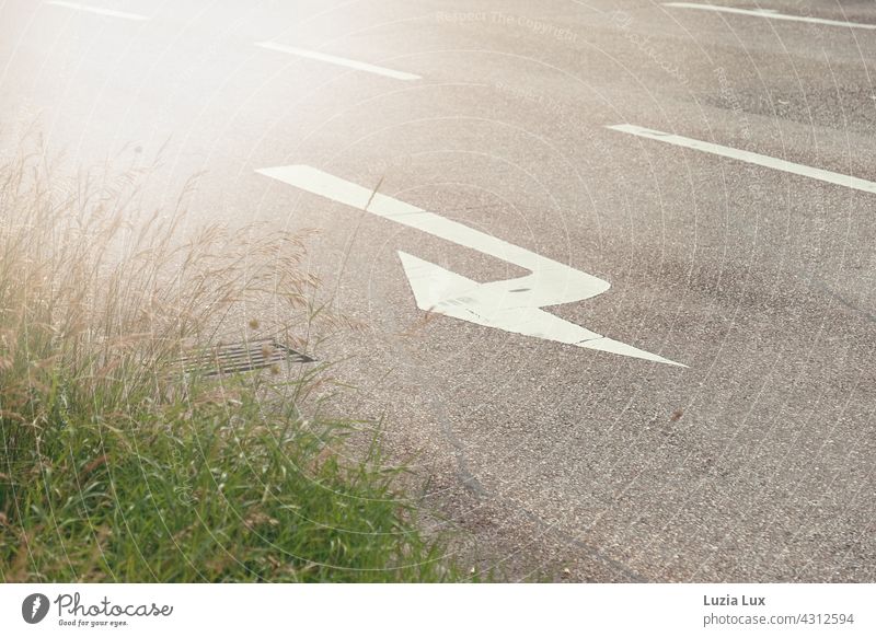 Turning lane, roadside, sunshine and fresh greenery Driving Roadside Traffic lane Line Day Motoring Lane markings Transport Road traffic Exterior shot