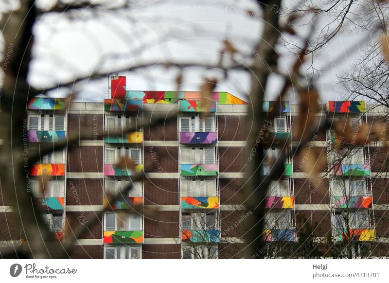 life is colorful - facade with colorful painted balconies behind bare branches House (Residential Structure) Building Facade Balcony Window variegated Painted