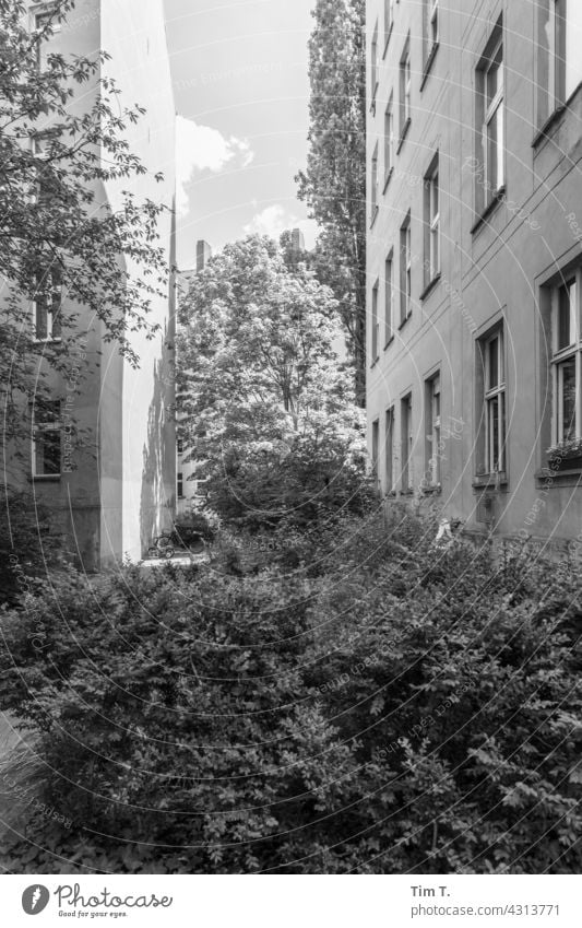 a backyard in Prenzlauer Berg Backyard Berlin b/w bnw Exterior shot Town Day Capital city Deserted Black & white photo Downtown Old town Manmade structures