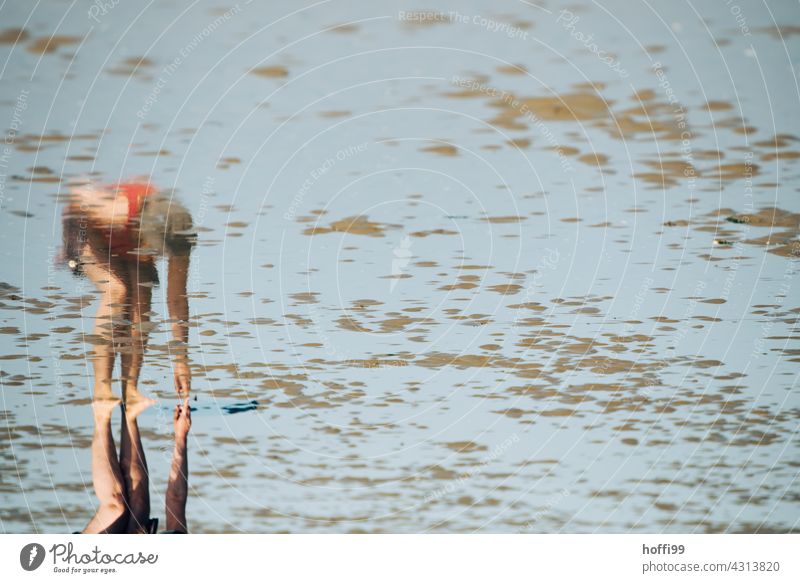 Reflection of a mussel seeker in the mudflats Woman Mussel search Mud flats shell collect Mussel shell coast Low tide High tide ebb and flow Wet Island Sand