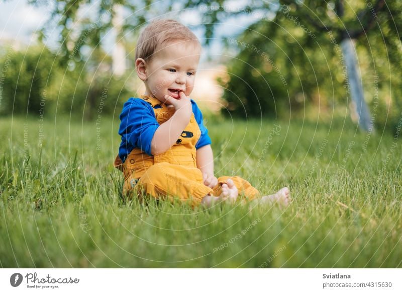 Happy charming baby boy in fashionable clothes sitting on the grass in the garden on a summer day child happy cute adorable kid green fun park meadow nature