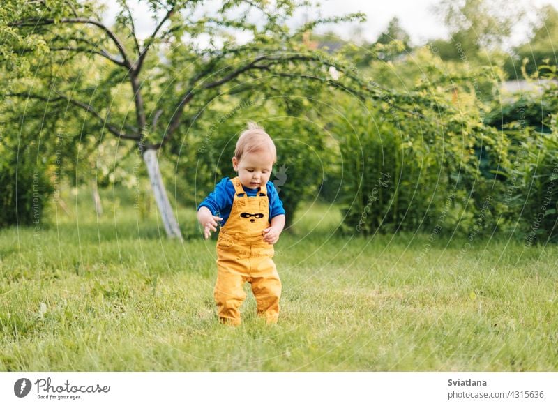 Happy baby outdoors, toddler walks in the summer garden kid boy smiling happy casual laughing steps toddlersmile fun cute cheerful spring park childhood