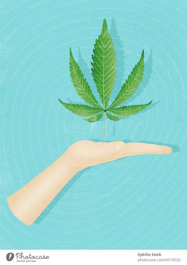 Hand with cannabis leaf hovering above hand medical marihuana alternative medicine medication healing health Medication sativa Leaf natural Alternative medicine