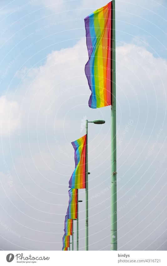 Many rainbow flags in a row. Symbol for gender justice, queer people, lesbians and gays, diversity and respect. Rainbow Flags Homosexual Respect LGBTQ