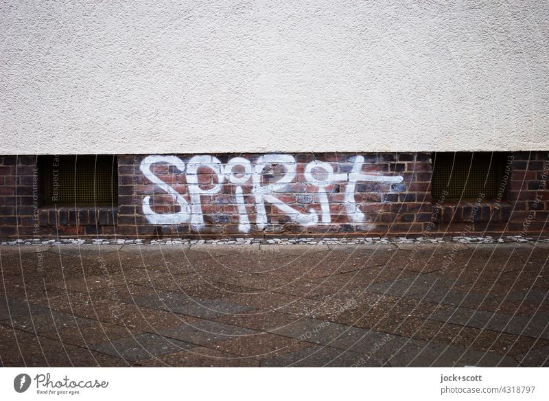 SPIRIT sprayed on urban surface Spray Capital letter Street art Creativity Word Prenzlauer Berg Berlin Facade Cellar window Sidewalk Structures and shapes Style