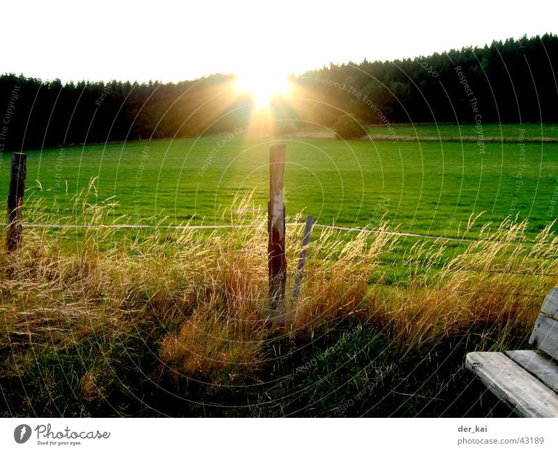 It's always the sun Fence Fence post Barley Wheat Vantage point Forest Meadow Sunbeam Sky Pasture Lighting