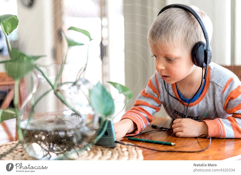 Little boy wares headphone and playing the cell phone child headphones house mobile phone gadget kid headset watching technology internet listening face leisure