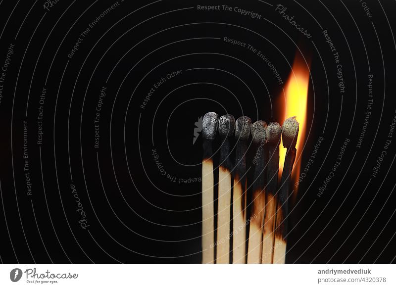 Burning matches on black background. matchsticks on fire in row of burning is sequence while one match stay down from burning to avoid fire connecting against black background