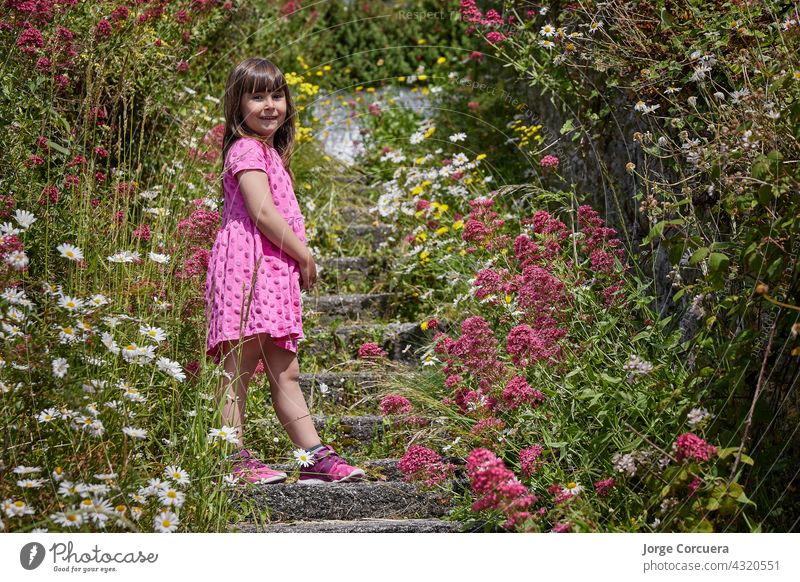girl in a pink dress surrounded by flowers in nature. The boy is standing on some stairs. floral toddler kid joy innocence fluffy meadow playful multicolored