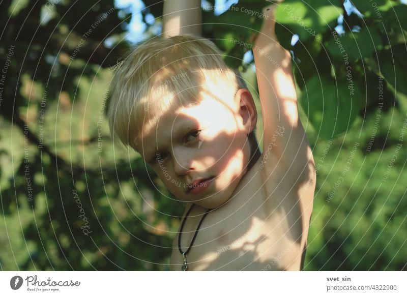 A blond little boy with an Orthodox cross on his chest hangs on an apple tree, holding on to a branch, in a sunny summer garden. Happy childhood in the village. Portrait of a blond boy with sun glare on the skin.