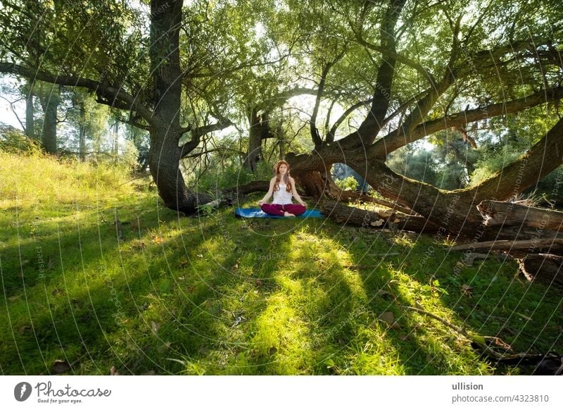 Young red-haired woman doing yoga exercises in nature in sportswear in the sun in the woods sexy fitness wellness girl young smiling joyful adults beautiful