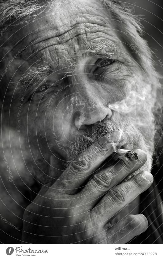Portrait of a man with life experience who smokes Smoking Cigarette Man portrait smoking Senior citizen Facial hair Gray-haired bearded age wrinkle crease