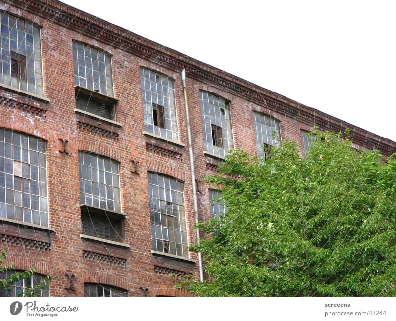 cotton spinning mill leipzig House (Residential Structure) Brick Window Tree Green Red Architecture Industrial Photography Sky Perspective