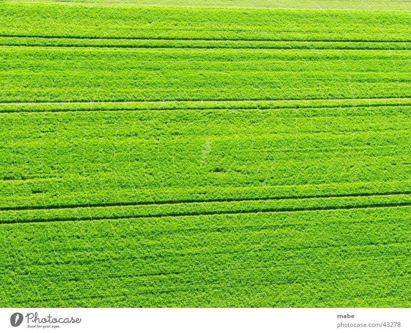 green field in the landscape Field Green Spring Landscape Nature