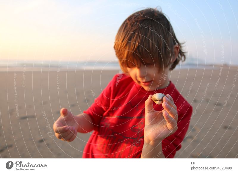 boy showing sea shell at the camera Optimism Religion and faith Connection Positive Innocent Playful Senses Calm Background picture natural happiness lifestyle