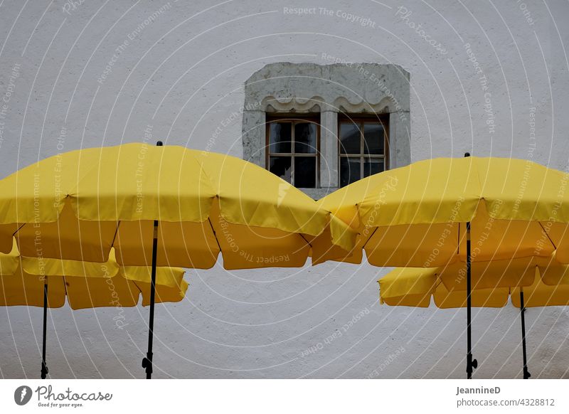 four yellow parasols in front of a grey wall with window Sunshade Yellow Window Economy Summer vacation Relaxation Restaurant Tourism Wall (building)