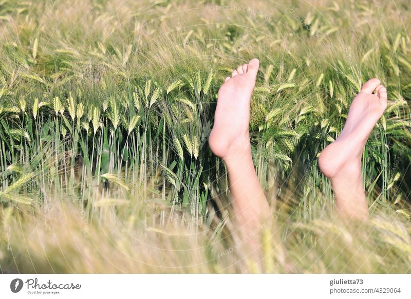 Finally summer holidays! | zest for life, good mood, feet up and enjoy the sun... Central perspective Summer Cornfield Grain field Field Relaxation Dream Happy