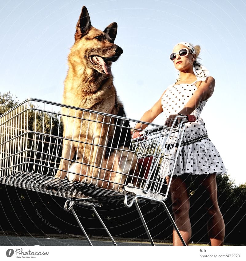 Shopping Human being Feminine Body 1 18 - 30 years Youth (Young adults) Adults Animal Dog Shopping Trolley Shepherd dog Woman Point Colour photo Exterior shot