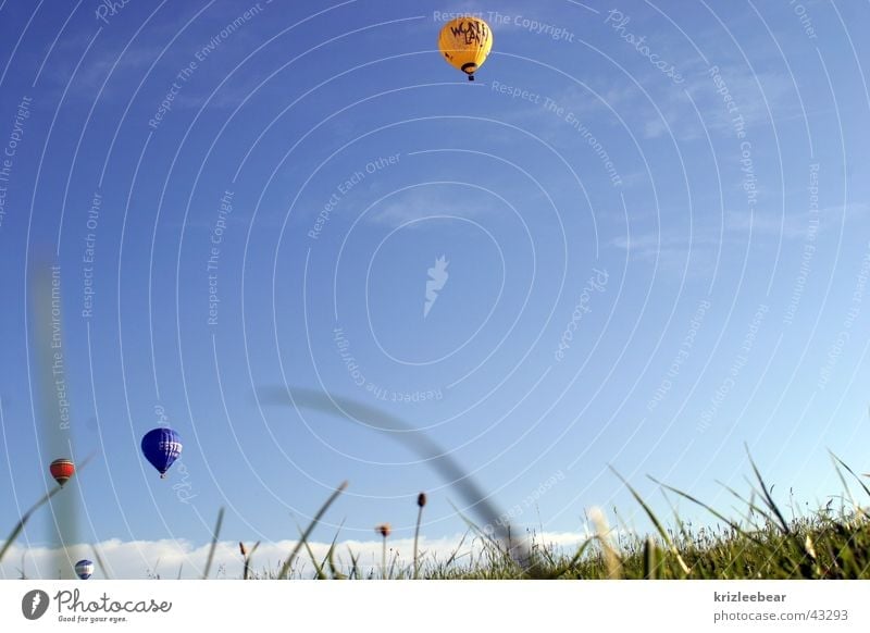 small balloons in front of big grass Joy Leisure and hobbies Fairs & Carnivals Aviation Air Grass Meadow Hot Air Balloon Driving Blade of grass baloon Sky