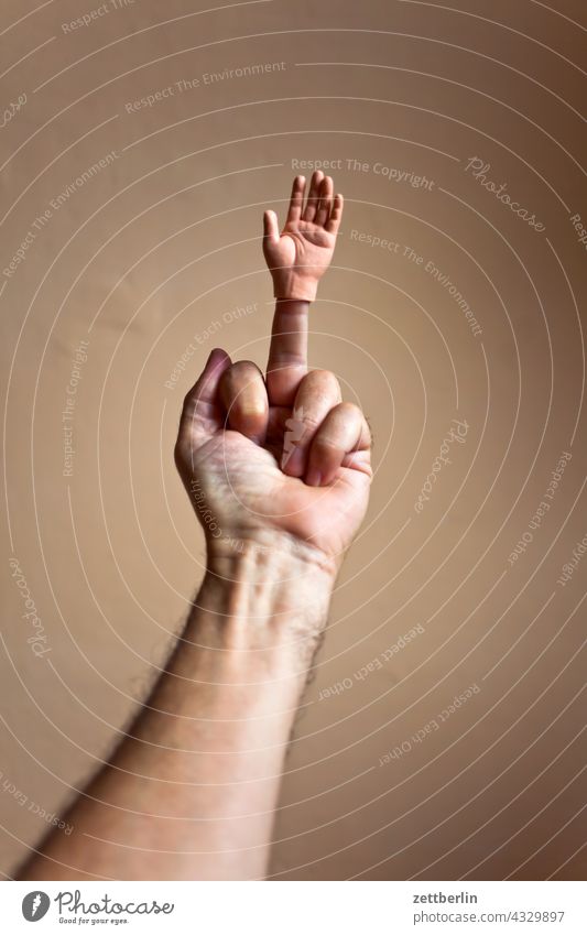 Hand with hand with special attention to the middle finger Anatomy essay Thumb double replacement Fingers gesture Little finger Man Human being Middle finger