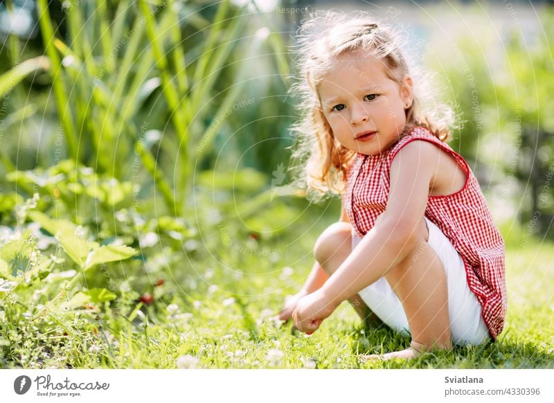 A cute baby is sitting on the grass in the park or in the garden girl adorable summer beautiful happy nature child young little green caucasian meadow sunny