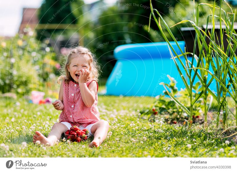 A charming little girl is sitting on the lawn in the garden, eating strawberries and laughing. Summer background, a place for text baby strawberry meadow