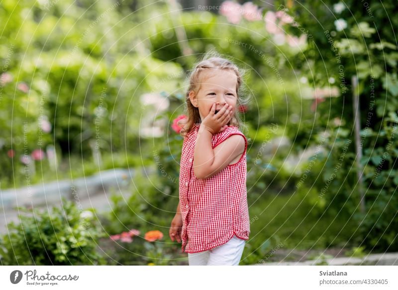 A charming baby is playing in the garden, laughing and covering her mouth with her hand grass smiling outdoors happy child park kid fun nature childhood