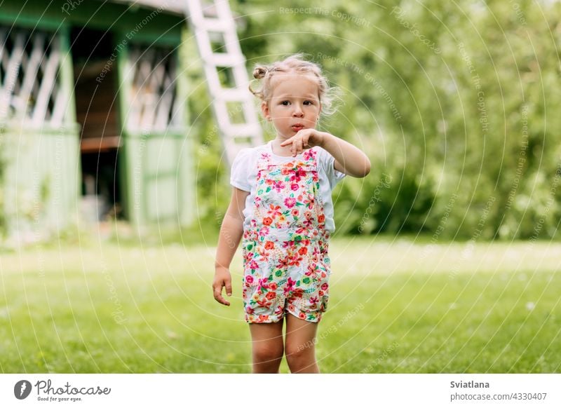 a little girl is playing in the garden, blowing on her hand. Childhood, summer time, outdoor games baby grass smiling outdoors happy child park kid fun nature