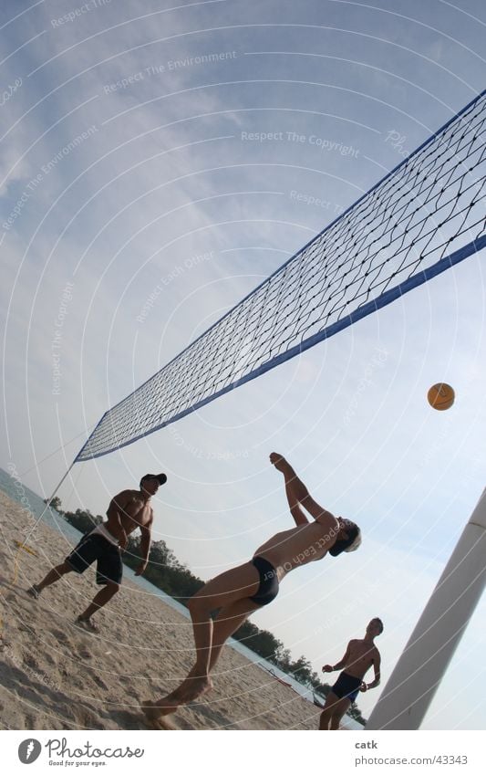 Beach Volleyball Sports Sports team Volleyball (sport) Ball Volleyball net Masculine 3 Human being 18 - 30 years Youth (Young adults) Adults Sand