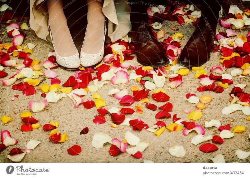 moments after Entertainment Party Event Feasts & Celebrations Wedding Masculine Feminine Couple Partner Feet 2 Human being Rose leaves Park Footwear High heels