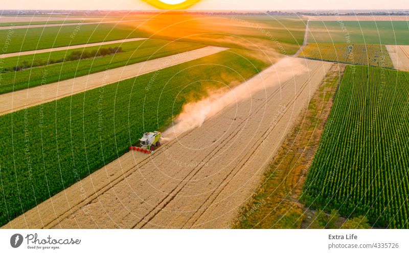 Above view on combine, harvester machine, harvest ripe cereal at sunset Agricultural Agriculture Cereal Combine Country Countryside Crop Cultivated Cultivation