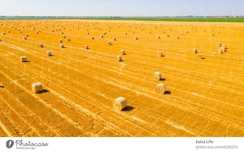 Aerial view of field with lined straw bales on farm fields Above Across Agricultural Agriculture Bale Cereal Country Crop Cultivated Cultivation Dolly Dry Farm