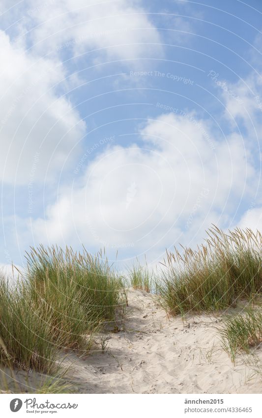 blue sky with clouds and a dune rise Ocean Sky Clouds duene dunes Beach Sand Landscape Nature Vacation & Travel Tourism Relaxation Marram grass destination Blue