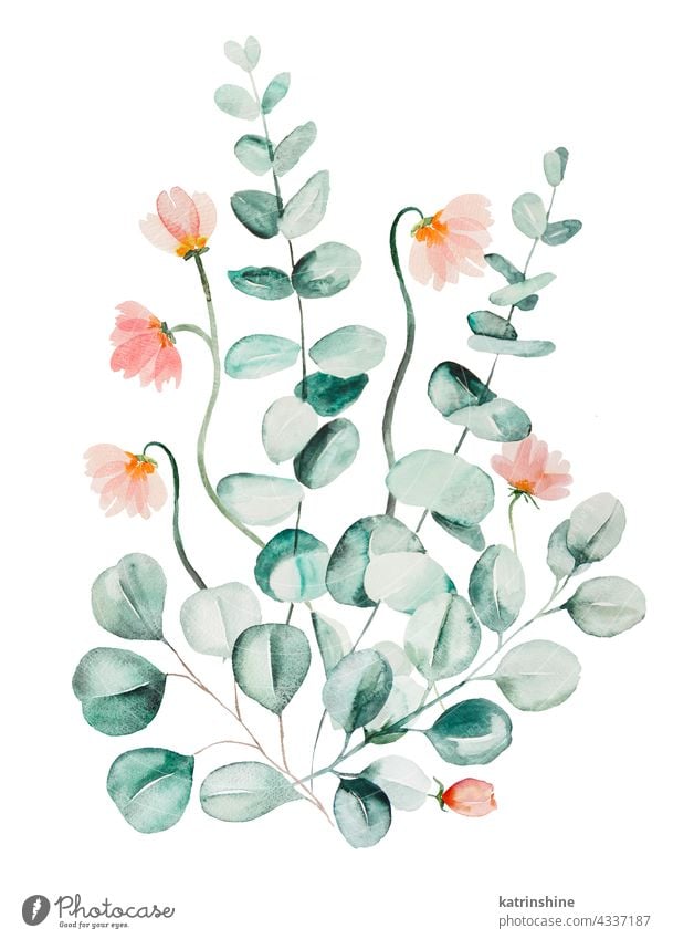 Watercolor pink flowers and green eucalyptus leaves bouquet illustration Botanical Decoration Drawing Element Foliage Garden Hand drawn Isolated Ornament Paint