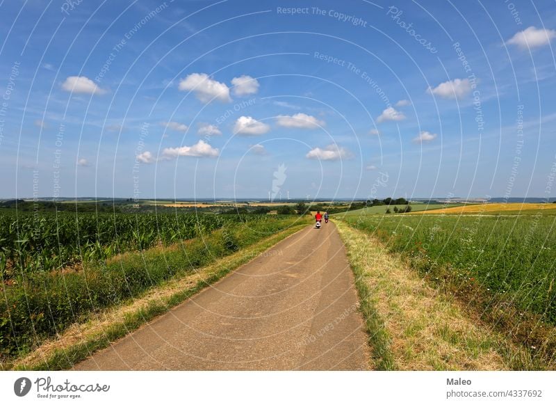 Summer landscape with fields and meadows on a clear day green sky grass cloud summer nature blue rural sun hill spring horizon pasture outdoor idyllic sunlight