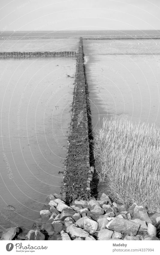Coastal protection by barge construction in the Wadden Sea World Heritage Site in autumn in Bensersiel near Esens at the North Sea in East Frisia in Lower Saxony, photographed in neo-realistic black and white