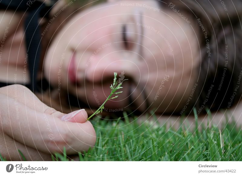Really not sad Woman Grass Blade of grass Hand Fingers Closed Portrait photograph Face Lawn Head Eyes Sleep