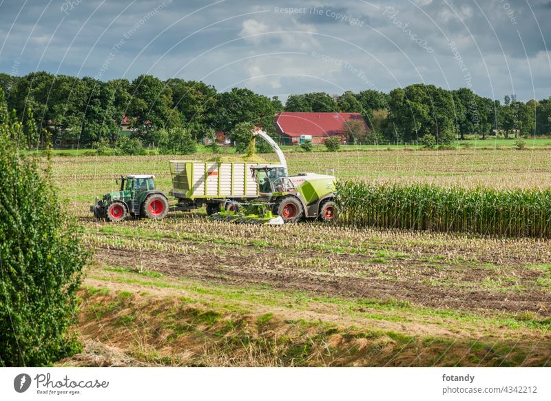 Esens, Germany - October 07, 2020: Distant view of two perfectly working together corn harvesters consisting of a corn chopper and a tractor with a tipping trailer under a cloudy sky.
