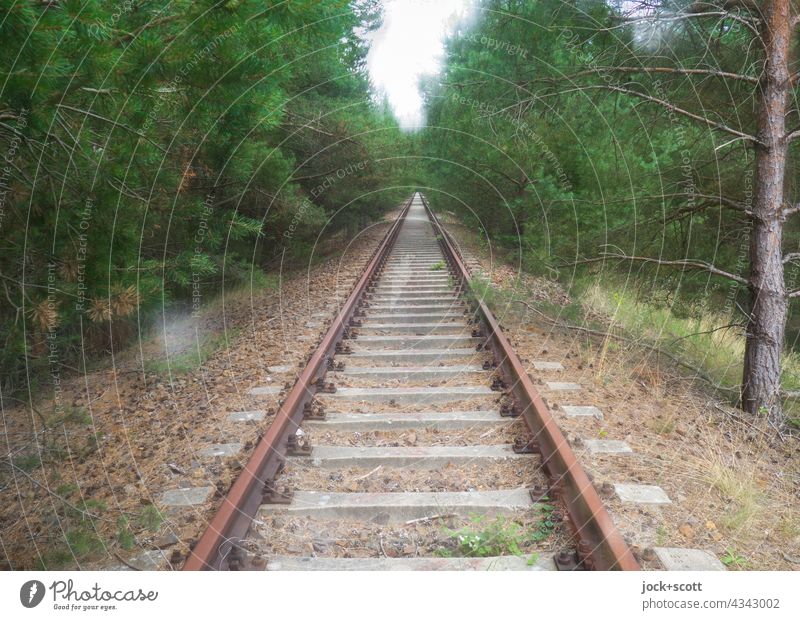 on rusty rails through densely overgrown forest Railroad tracks lost places Traffic infrastructure Double exposure Ravages of time Decline Apocalyptic sentiment
