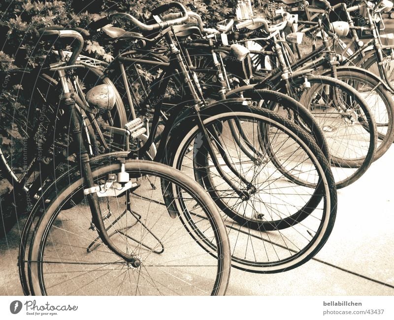 old bikes Bicycle Nostalgia Mobility Transport