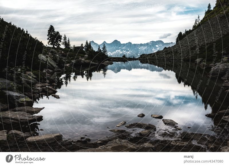 Come to rest at the mirror lake on the Reiteralm. With a view of the Dachstein. Mountain lake Mirror Lake Calm Morning Vacation & Travel Wide angle