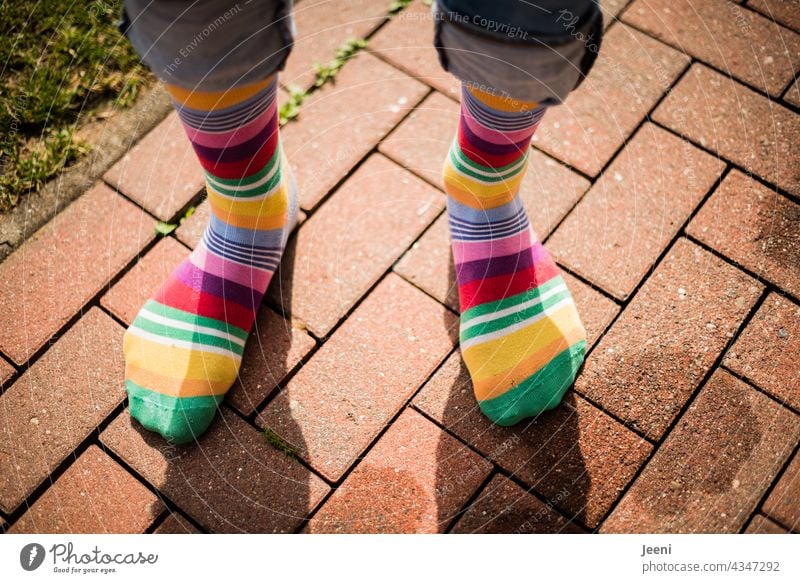 Diversity | through the world with colourful socks on your feet Stockings variegated curled Striped socks Fashion trend Human being Man Stand Multicoloured