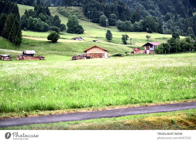 A few wooden huts and many bushes and trees are standing around on a hilly green meadow landscape in the nature park Ammergau Alps in Upper Bavaria and a piece of bicycle path can be seen as well.