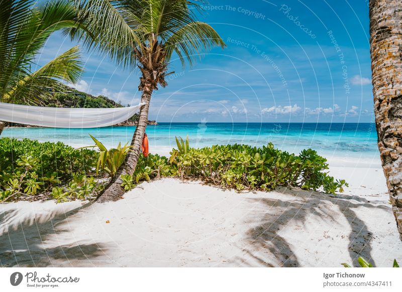 Tropical beach at Mahe island, Seychelles. Travel vacation background seychelles mahe paradise water nature ocean landscape tropical summer palm sky sand sunny
