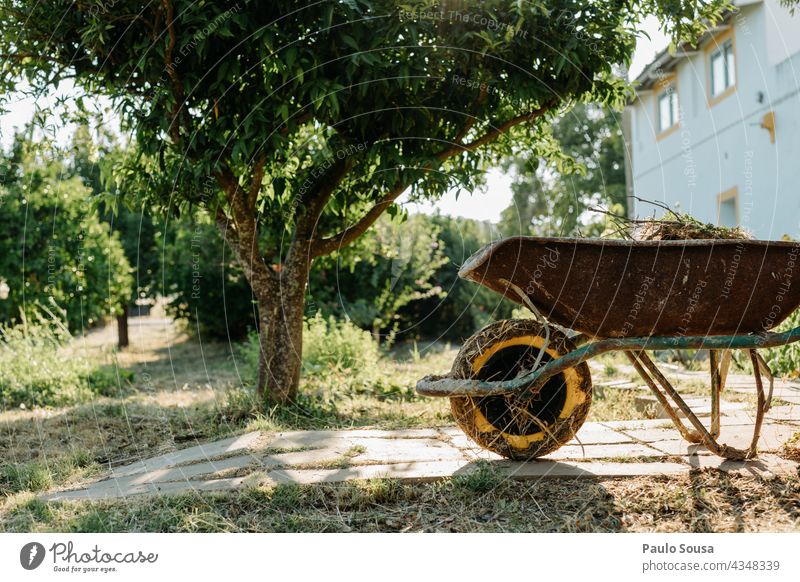 Wheelbarrow with leaves pushcart Garden Gardening Gardener Copy Space Colour photo Spring Exterior shot plants Plant Nature Green Cast Autumn Authentic