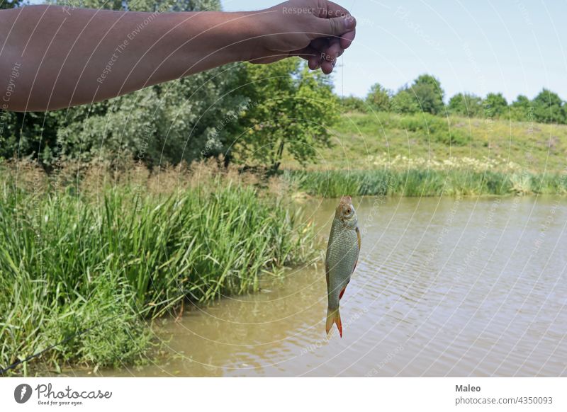 A human hand holds a large fishing hook. Hook for large fish Stock