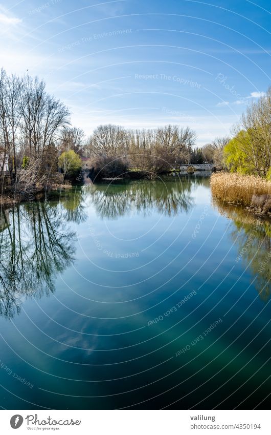 River and park in Palencia, Spain Carrion Carrion river Castile and Leon Castilla y Leon Europe Spanish color environment landscape natural nature outdoors