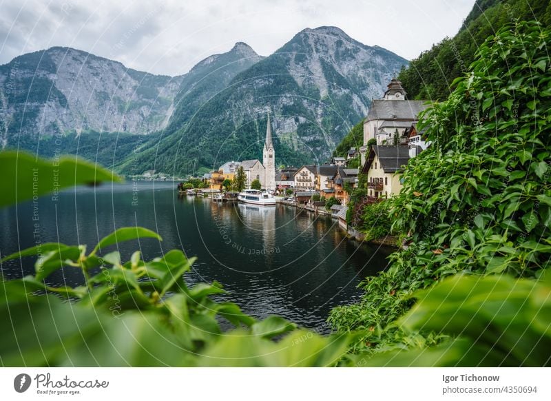 Famous lake side view of Hallstatt village with Alps behind, Foliage leaves framed. Austria hallstatt austria alps famous town landscape nature tourism